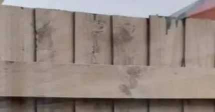 ‘My neighbour only painted their side of the fence and left mine dripping with paint’