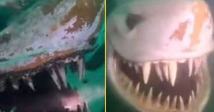 Evil genius hides giant shark statue at bottom of lake to terrify divers