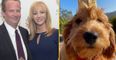 Lisa Kudrow reportedly wants to adopt Matthew Perry’s dog Alfred