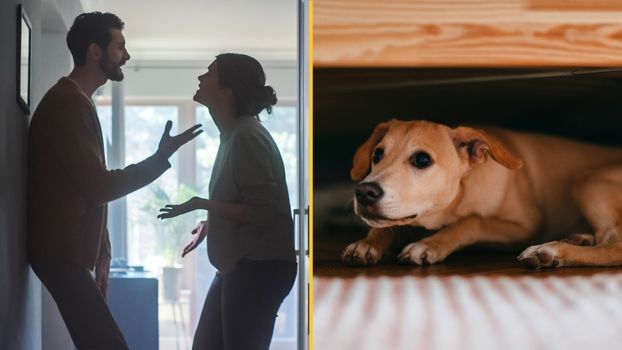 Woman made to choose between boyfriend or dog