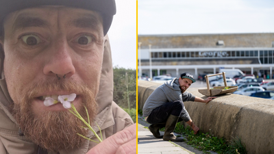‘I’m an urban forager – 50% of my food comes from the streets and I spend just £5-a-week at the supermarket’