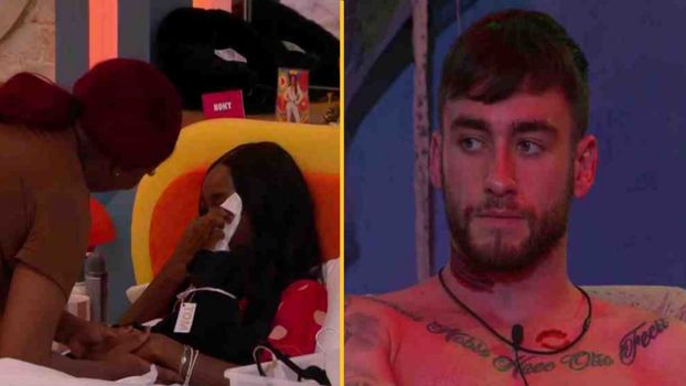 Big Brother ofcom complaints