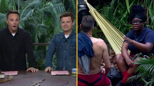 Ant and Dec weigh in on Nella fred fight