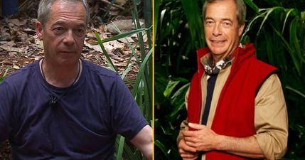 I’m A Celebrity ‘in chaos’ as show loses millions of viewers over Nigel Farage boycott