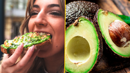 People only just realising avocados might not actually be vegan