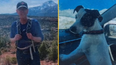 Missing hiker found dead two months after disappearance with dog still alive by his side