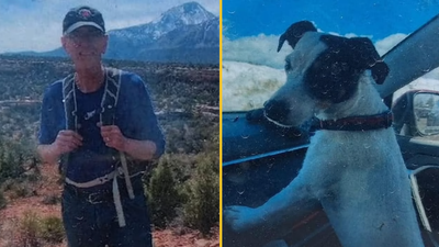 Missing hiker found dead two months after disappearance with dog still alive by his side