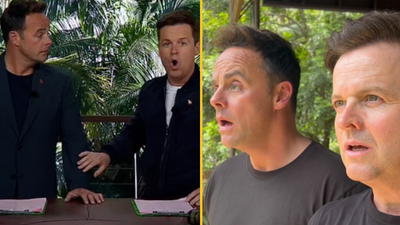I’m A Celeb camp invaded by venomous snakes days before first episode