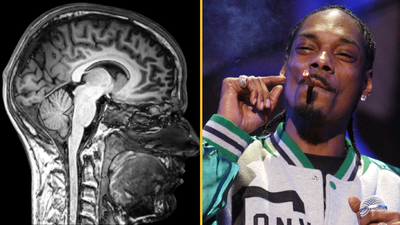 What happens to your body when you give up weed as Snoop Dogg quits smoking
