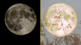 Best time to see full Beaver Moon lighting up UK sky tonight