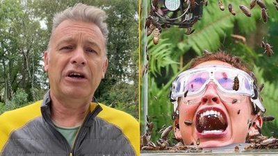 Chris Packham slams I’m A Celebrity’s ‘abuse of animals’