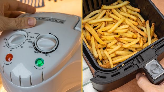 Halogen oven air fryer alternative