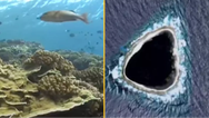 Diver shares incredible reality of hollow island completely blacked out on Google Maps
