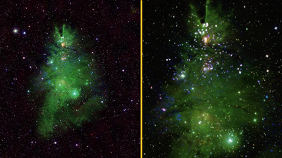 NASA shares remarkable new photo of ‘Christmas tree’ star cluster