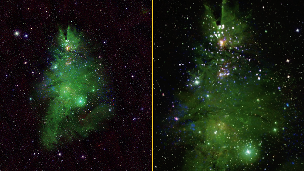 NASA shares remarkable new photo of 'Christmas tree' star cluster