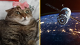 Earth just received a laser-beamed cat video from 19 million miles away