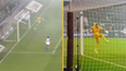 Hamburg’s goalkeeper howler dubbed the ‘best own goal ever’