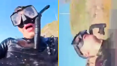 Man who recorded ‘final moments’ during shark attack ‘wanted to say goodbye’