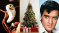 JOE’s 12 Days of Christmas quiz: day 6