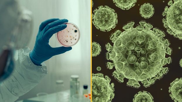 Never been seen virus discovered after man struck down with Malaria-like illness