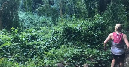 Runner spots terrifying ‘ghost’ in image of her running in forest