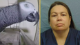 Woman convicted of killing husband after parrot repeated victims last words