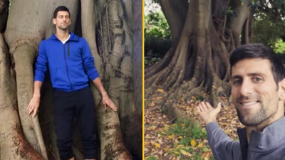 Novak Djokovic has ’15 year special relationship’ with tree in Melbourne