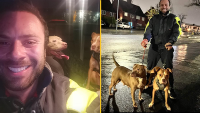 Man drives 200 miles on New Year’s Eve to save XL Bullies