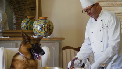 Elderly woman leaves £2.2 million to beloved pets instead of children