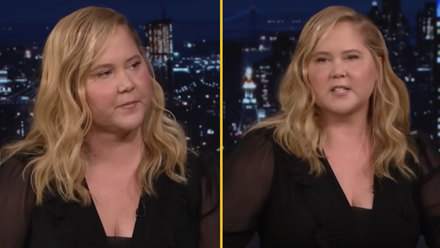 Amy Schumer face