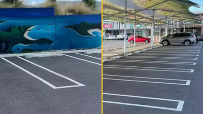 People are calling for this ‘genius’ parking feature to be implemented everywhere