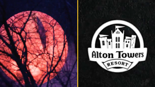 alton towers announces nemesis reborn opening date