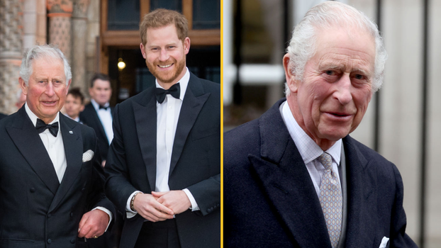 Prince Harry to fly back to UK following King Charles cancer diagnosis