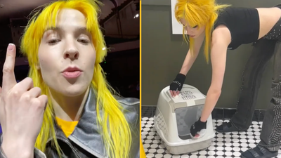 Singer who provided litter trays for ‘animal-identifying’ fans at live shows is now offering nappies