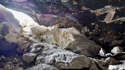 Archaeologists left stunned by ‘humungous skeletons’ found inside cave