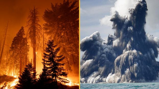 Supercomputer simulation predicts when humans will be wiped out