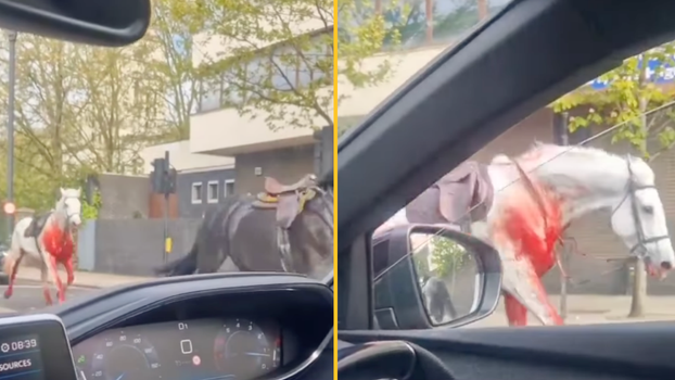 blood-covered horses in London