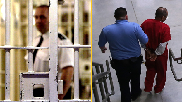 Paedophiles could have parental rights taken away under new law