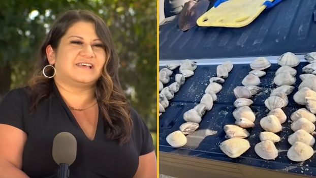 Mum fined £70,000 after her kids collected 'shells' from the beach