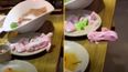 Stomach-churning moment raw meat ‘crawls off table’ at restaurant