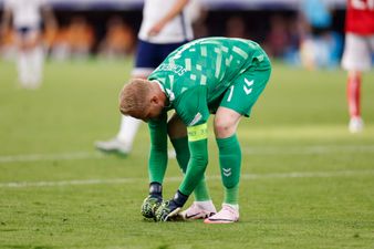 Fans distracted by the state of the pitch in England’s game against Denmark