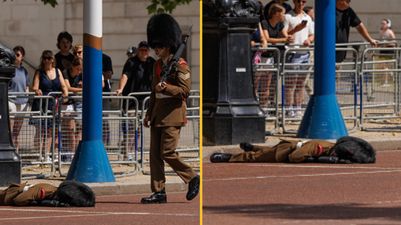 Worrying scenes as Cavalry Guard collapses in roasting UK temperatures