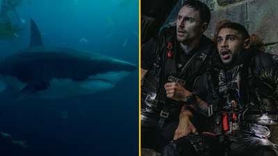 Netflix viewers are saying new film is one of the best shark films ever made