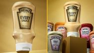 Heinz combines 14 different sauces to make Every Sauce