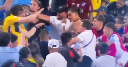 Darwin Nunez involved in fist fight with Colombia fans after Copa America defeat