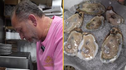 People left disturbed after chef shares the truth about eating oysters