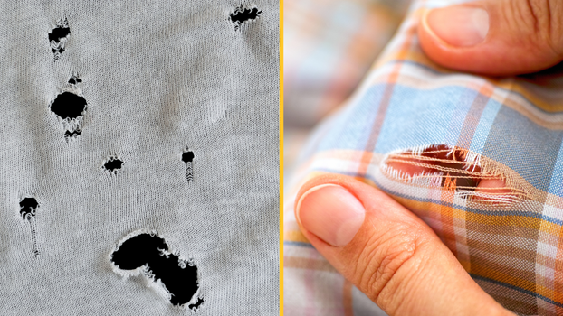 Holes in top / Adobe Stock