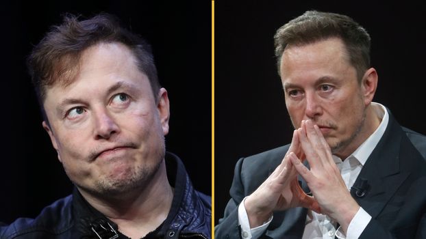 elon musk net worth plummets