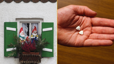 Police discover garden gnome made entirely from MDMA