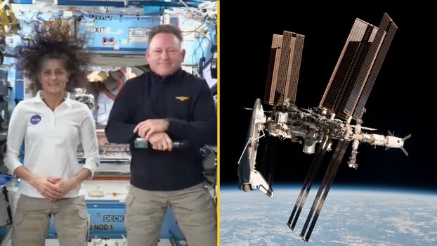 Astronauts stranded in space since June have been surviving on 'soup made from their own urine'